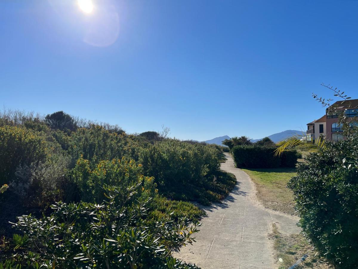 Appartement Entre La Lagune Et La Mer Avec Piscine, Direct Plage, Vue Partielle Mer 圣西普里安 外观 照片